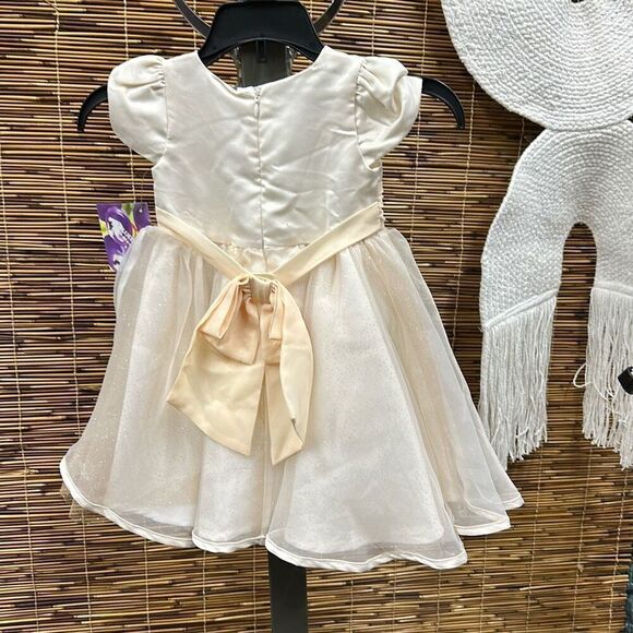 Blueberi Boulevard Baby Girls Fit-and-Flare Satin and Tulle Dress - Champagne Si - Picture 3 of 3